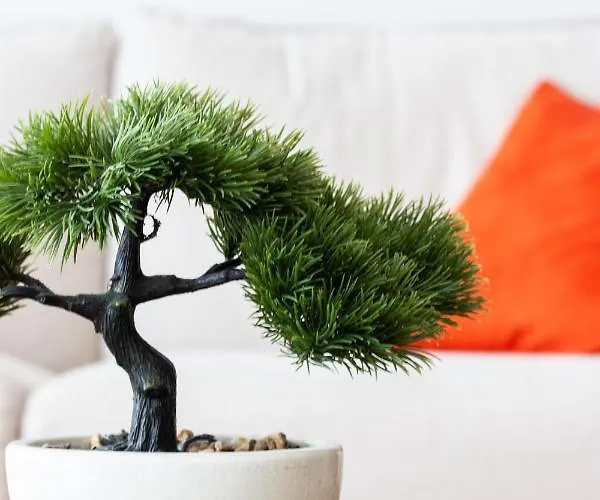 Le Celya, Jacuzzi Et Parking Privatif Avec Borne De Recharge Voiture Electrique 사흘라 라 카네다